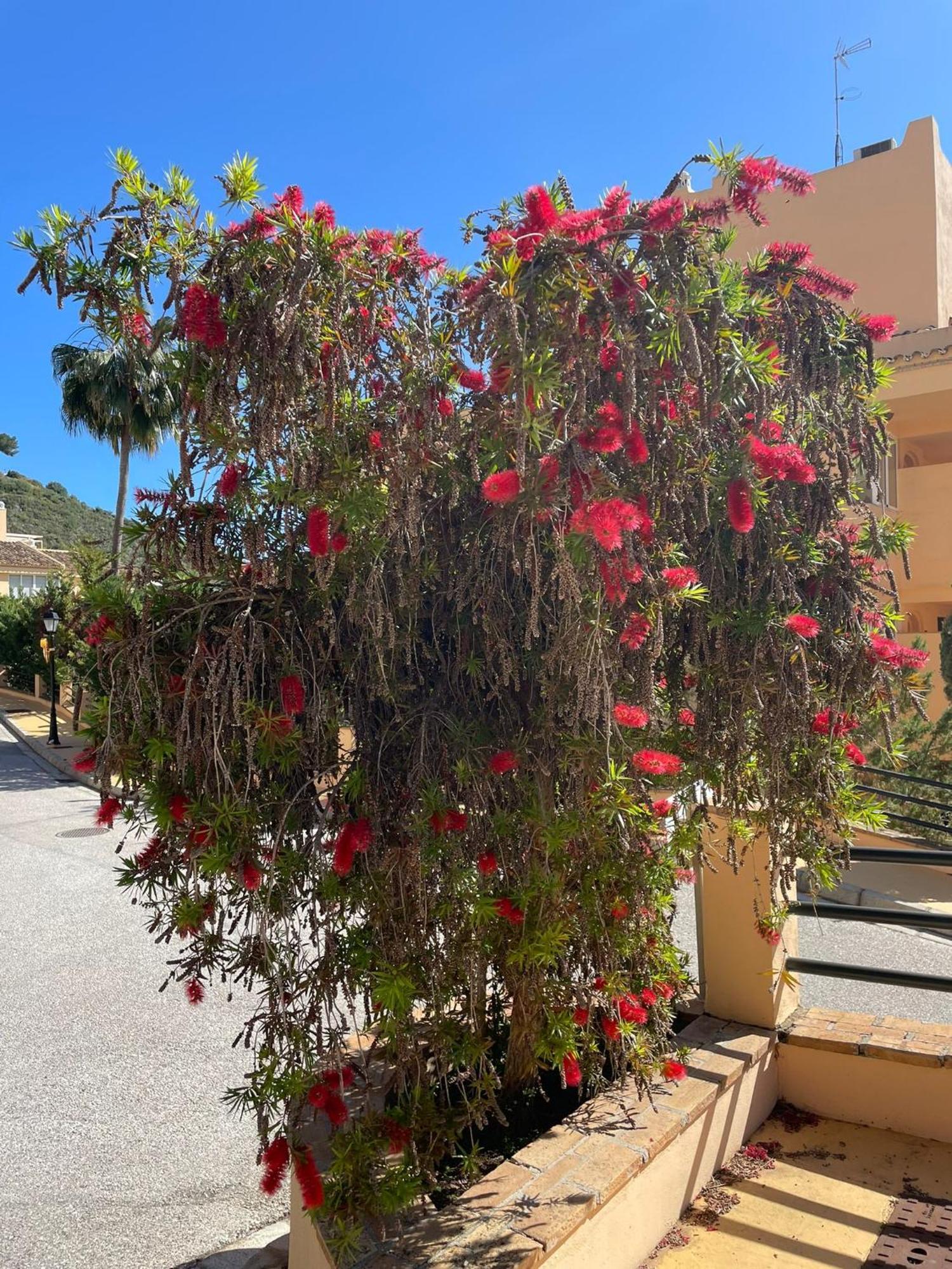 Santa Maria Village, Elviria, Marbella Dış mekan fotoğraf