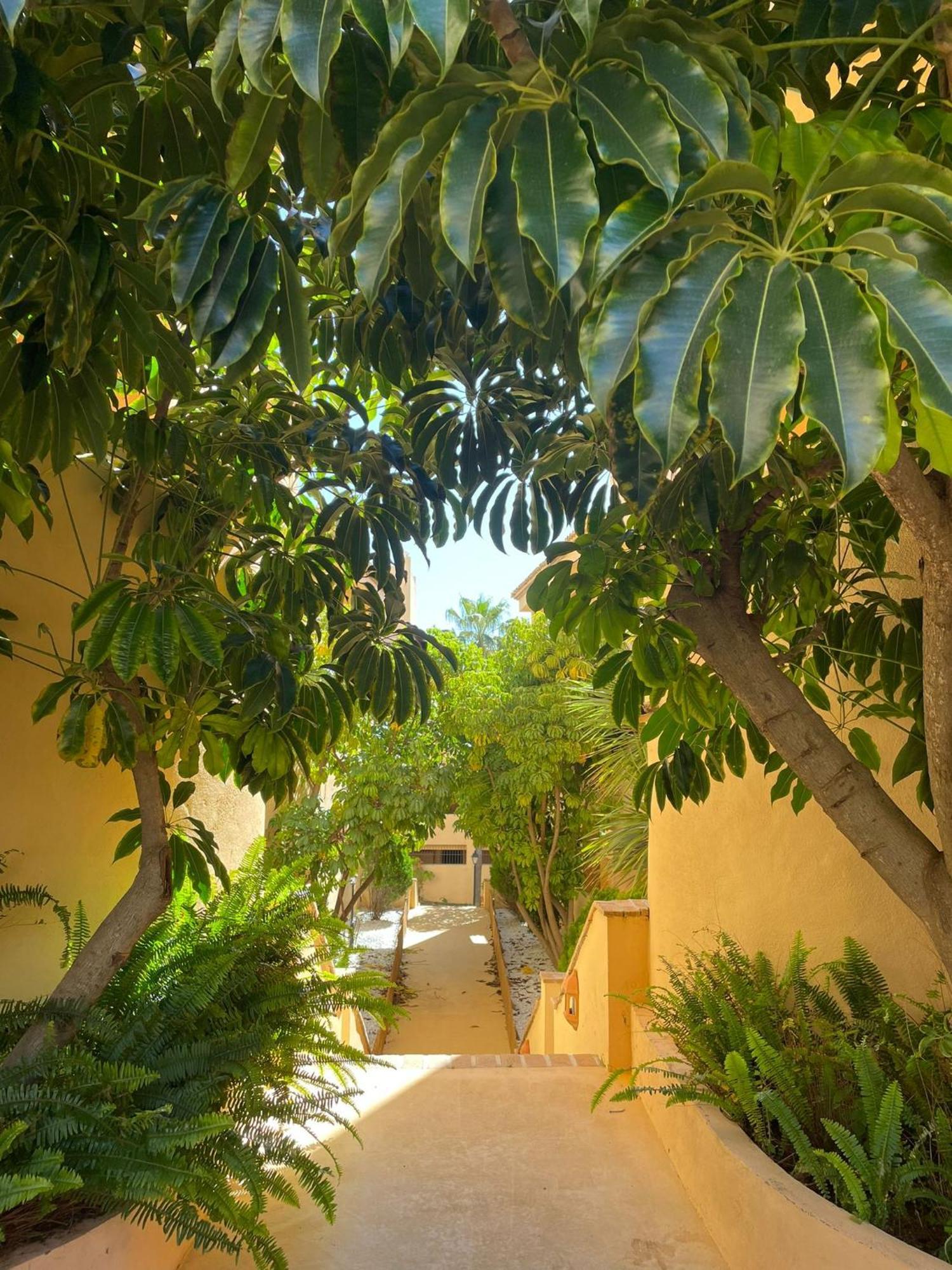Santa Maria Village, Elviria, Marbella Dış mekan fotoğraf